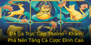 A Ga Truc Tiep Thomo Kham Pha Nen Tang Ca Cuoc Inh Cao V999