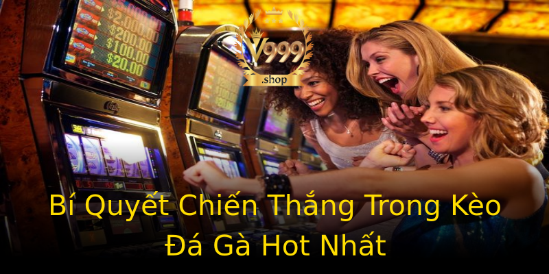 Bí Quyết Chiến Thắng Trong Kèo Đá Gà Hot Nhất Bí Quyết Chiến Thắng Trong Kèo Đá Gà Hot Nhất