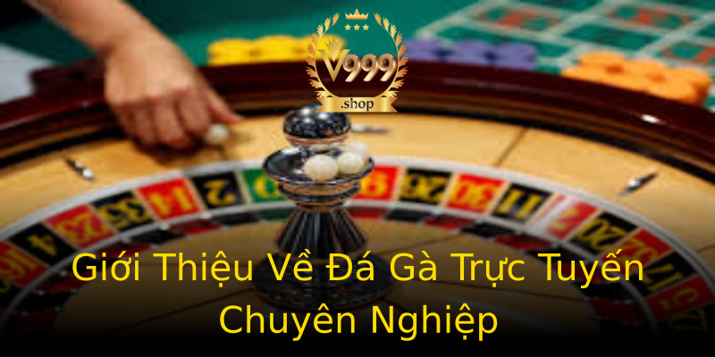 Giới Thiệu Về Đá Gà Trực Tuyến Chuyên Nghiệp Giới Thiệu Về Đá Gà Trực Tuyến Chuyên Nghiệp