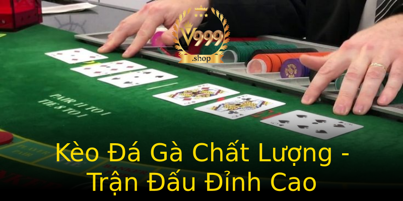 Kèo Đá Gà Chất Lượng - Trận Đấu Đỉnh Cao Kèo Đá Gà Chất Lượng - Trận Đấu Đỉnh Cao