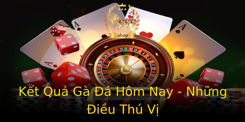 Kết Quả Gà Đá Hôm Nay - Những Điều Thú Vị Kết Quả Gà Đá Hôm Nay - Những Điều Thú Vị