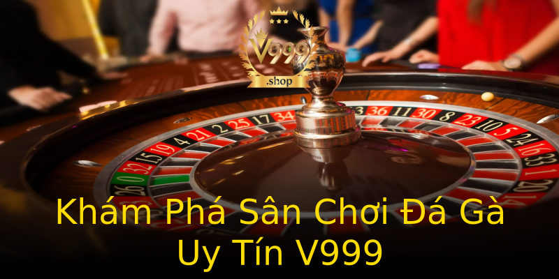 Khám Phá Sân Chơi Đá Gà Uy Tín V999 Khám Phá Sân Chơi Đá Gà Uy Tín V999