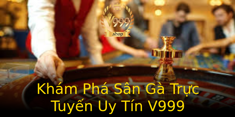 Khám Phá Sân Gà Trực Tuyến Uy Tín V999 Khám Phá Sân Gà Trực Tuyến Uy Tín V999