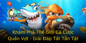 Kham Pha The Gioi Ca Cuoc Quan Vot Giai Ap Tat Tan Tat Nhung Ieu Ban Can Biet 1