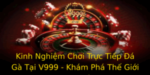 Kinh Nghiem Choi Truc Tiep A Ga Tai V999 Kham Pha The Gioi Am Me
