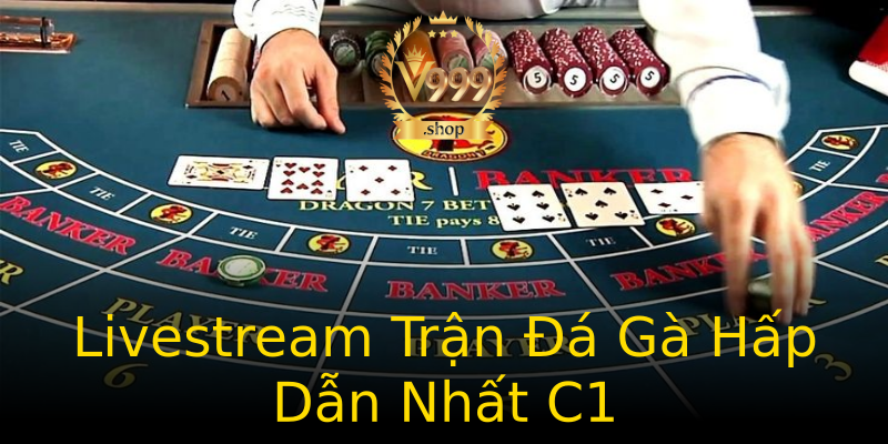 Livestream Trận Đá Gà Hấp Dẫn Nhất C1 Livestream Trận Đá Gà Hấp Dẫn Nhất C1