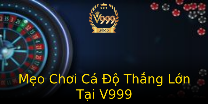 Mẹo Chơi Cá Độ Thắng Lớn Tại V999 Mẹo Chơi Cá Độ Thắng Lớn Tại V999