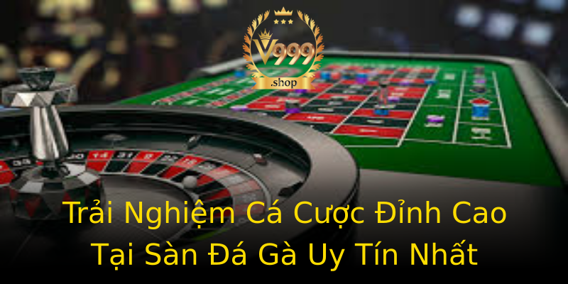 Trải Nghiệm Cá Cược Đỉnh Cao Tại Sàn Đá Gà Uy Tín Nhất Trải Nghiệm Cá Cược Đỉnh Cao Tại Sàn Đá Gà Uy Tín Nhất