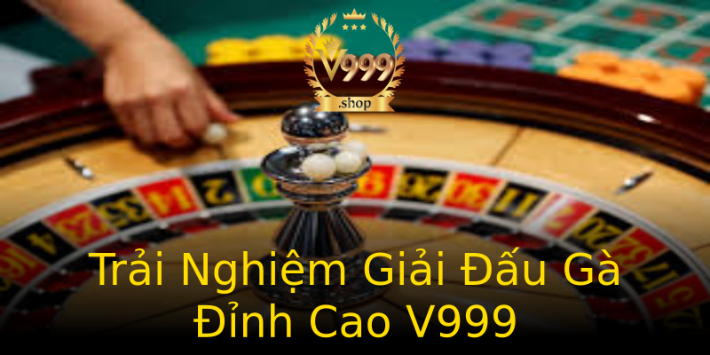 Trải Nghiệm Giải Đấu Gà Đỉnh Cao V999 Trải Nghiệm Giải Đấu Gà Đỉnh Cao V999
