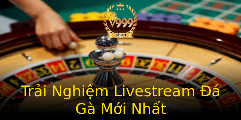 Trải Nghiệm Livestream Đá Gà Mới Nhất Trải Nghiệm Livestream Đá Gà Mới Nhất